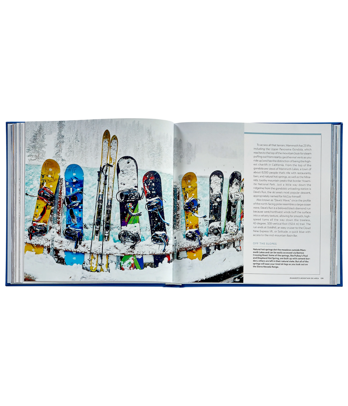 100 Slopes of a Lifetime Book