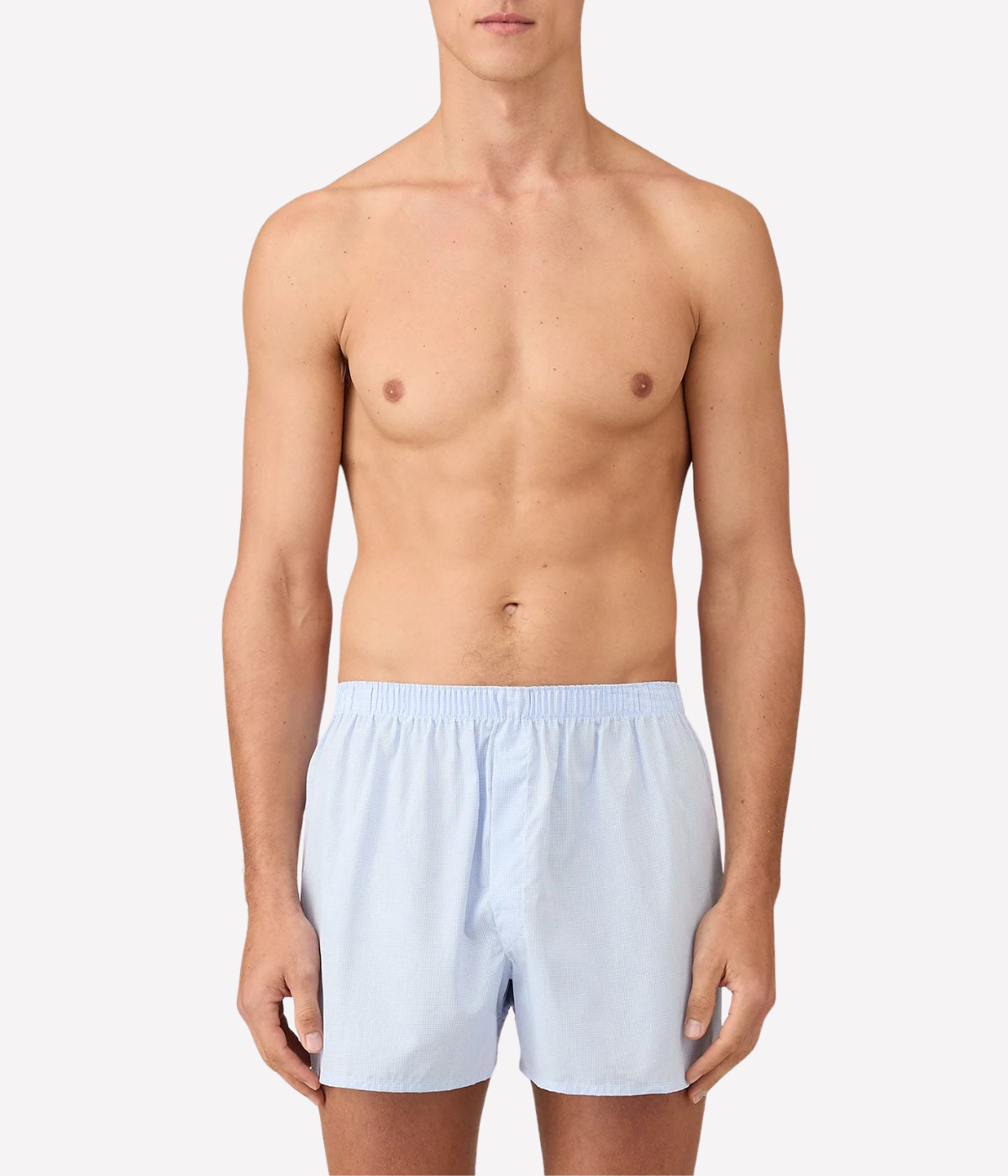 Classic Boxer Short in Light Blue Micro Gingham