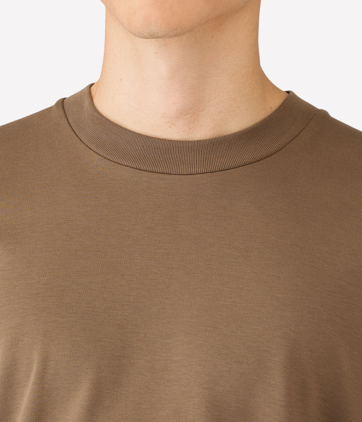 Long Sleeve Heavyweight T-Shirt In Dark Cedar
