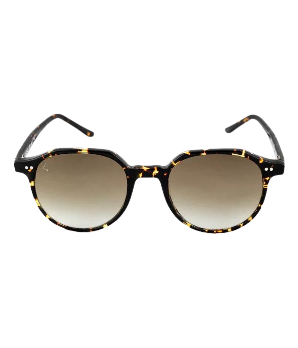 Scala Sunglasses in Orange Avana & Brown