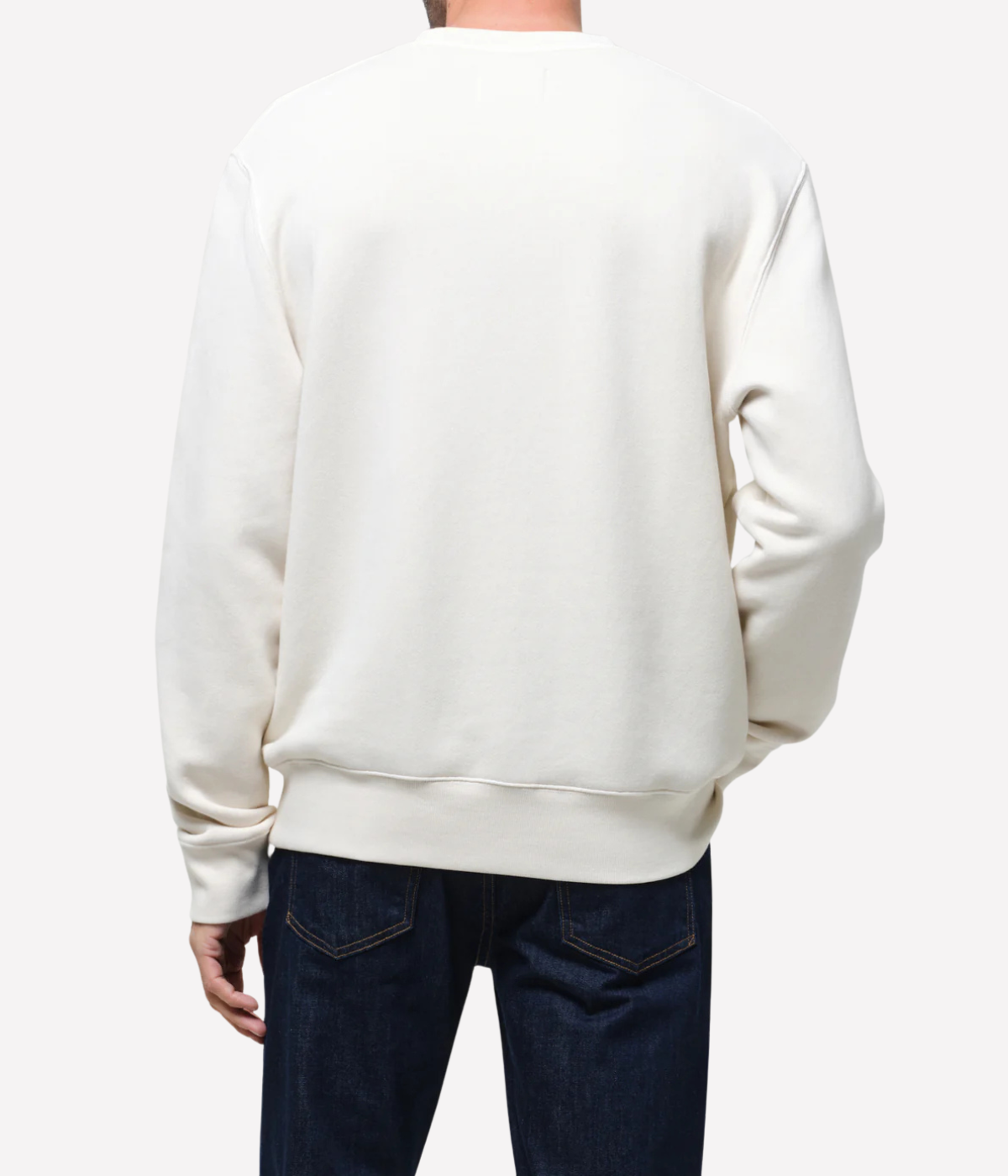 Citizens of Humanity Vintage Crewneck Sweatshirt in Abalone back view on model.