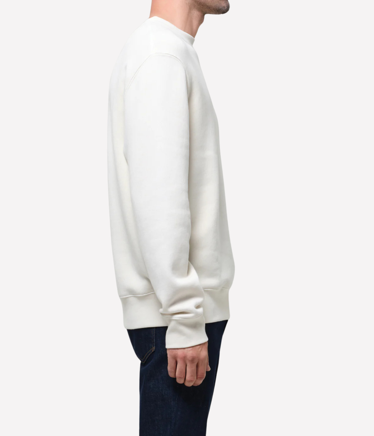 Citizens of Humanity Vintage Crewneck Sweatshirt in Abalone side view on model.