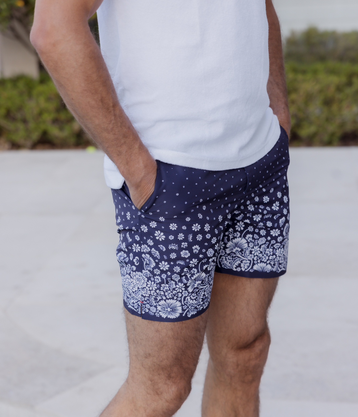 Bulldog Plant in Night Iris