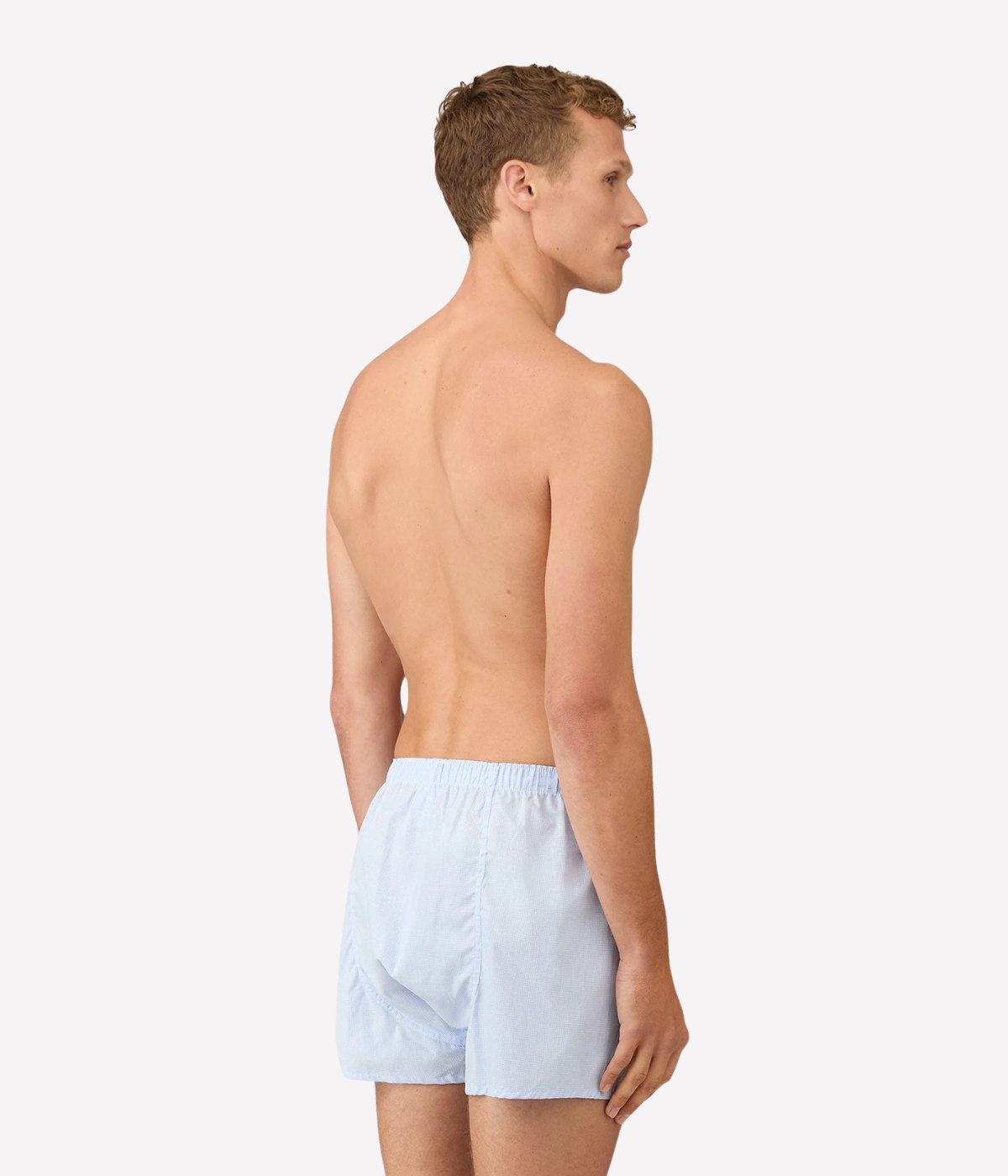 Classic Boxer Short in Light Blue Micro Gingham