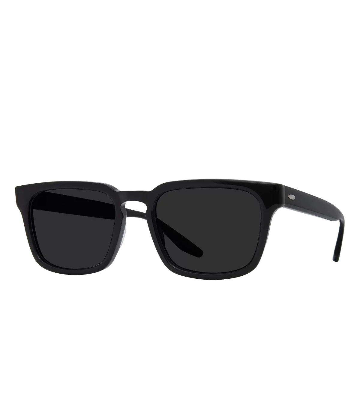 Hamilton Sunglasses in Black