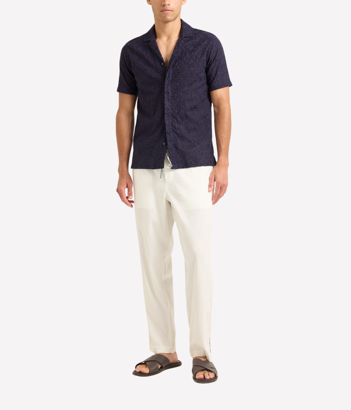 Maitan Broderie Anglaise Plant in Night Iris