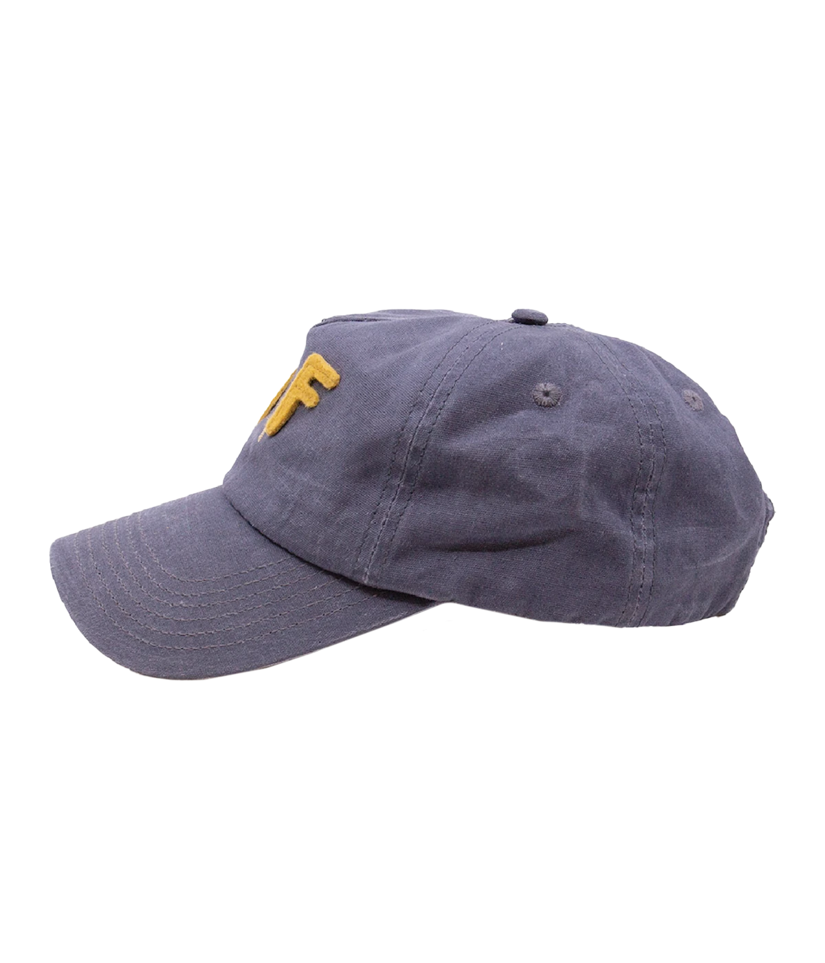 NF Team Cap in Blue Ash