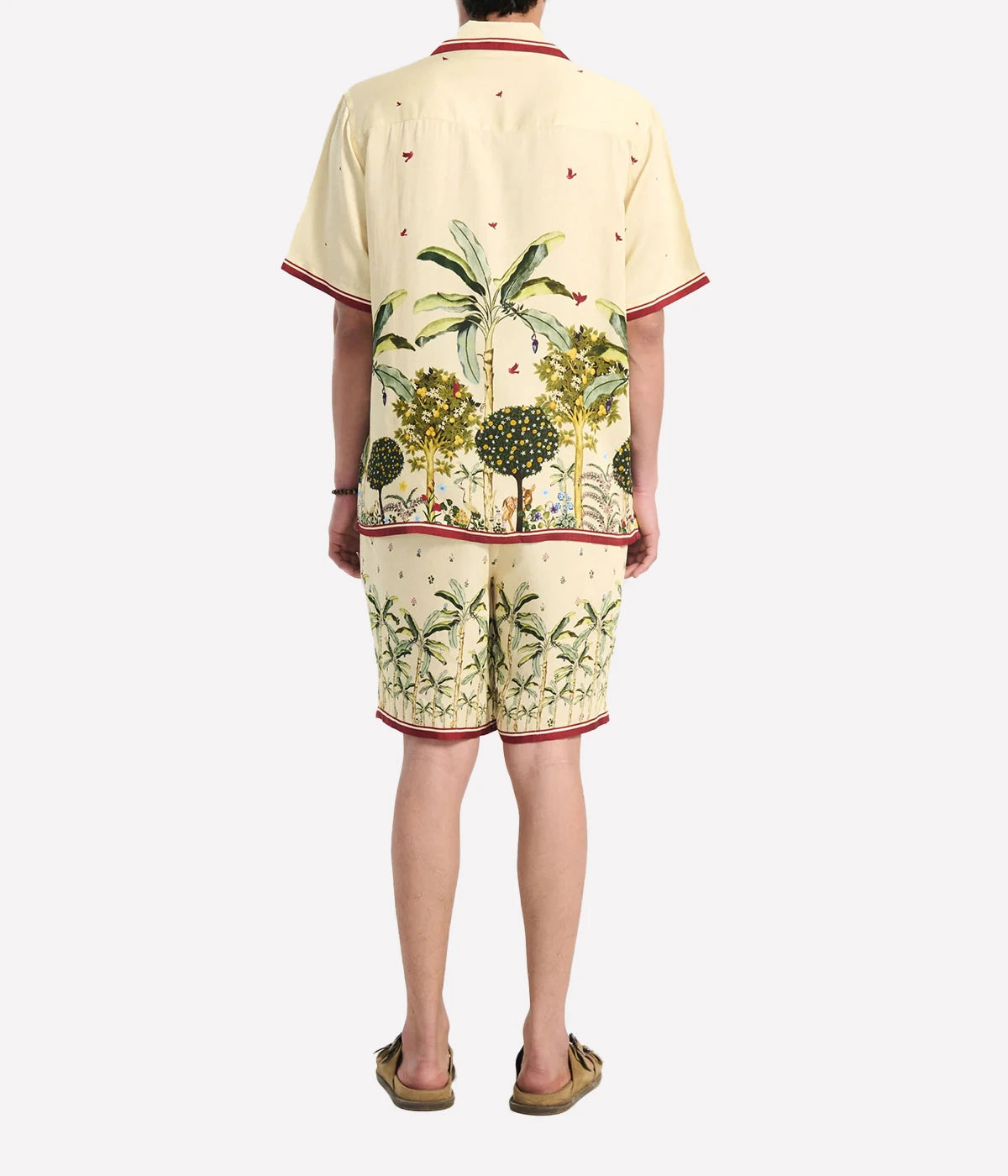 Palm Print Shorts in Palm Tree