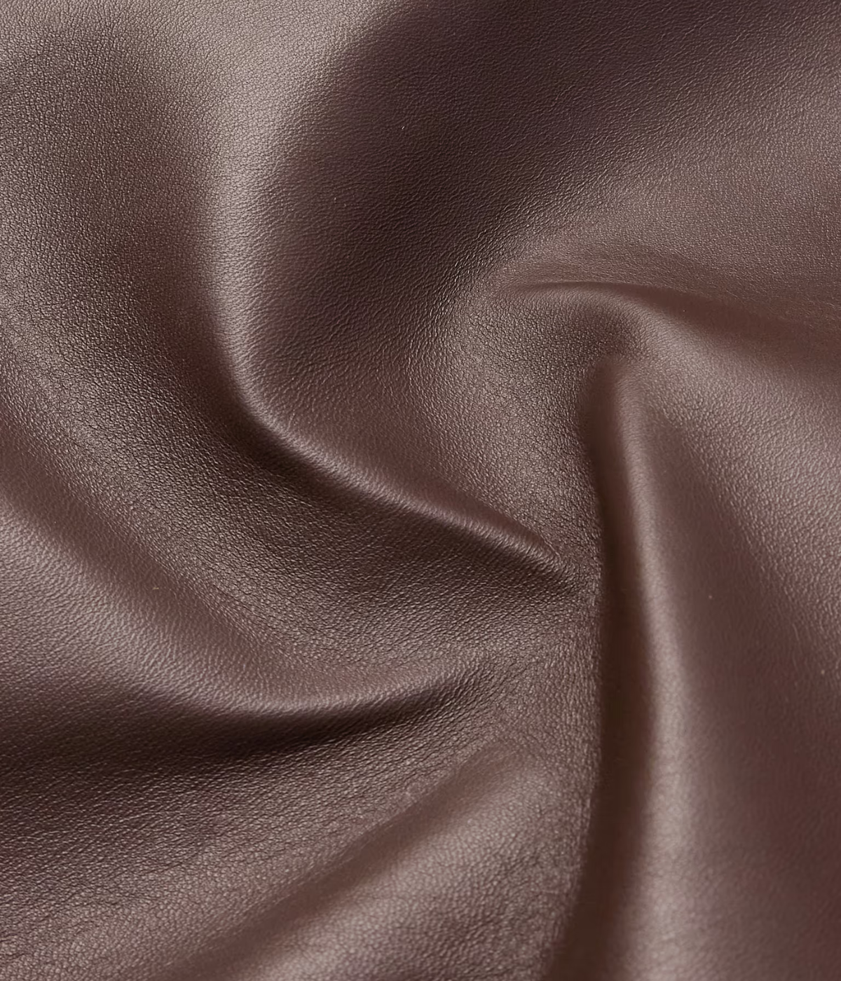 Roy Jacket in Caffe