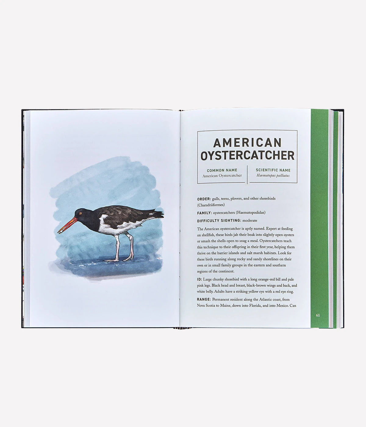 The Book of Birds in White
