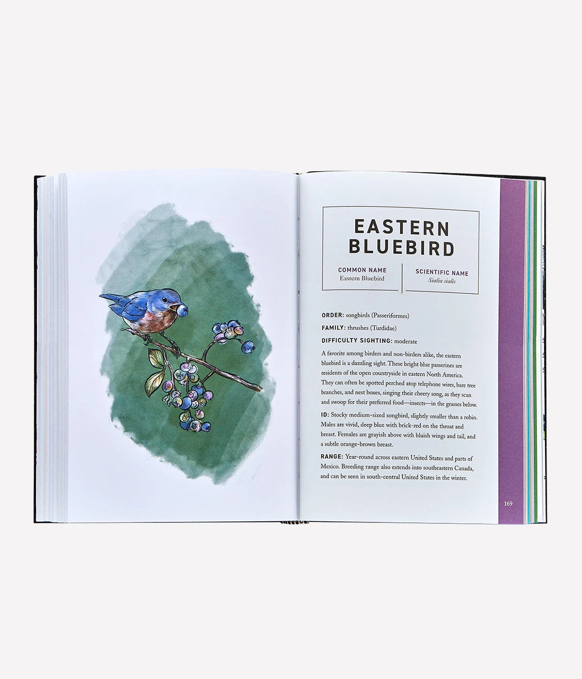 The Book of Birds in White