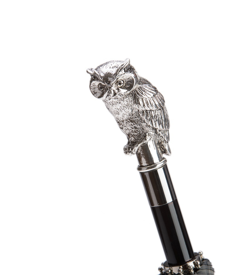 Pasotti Silver Owl Folding Umbrella - Owl closeup shot