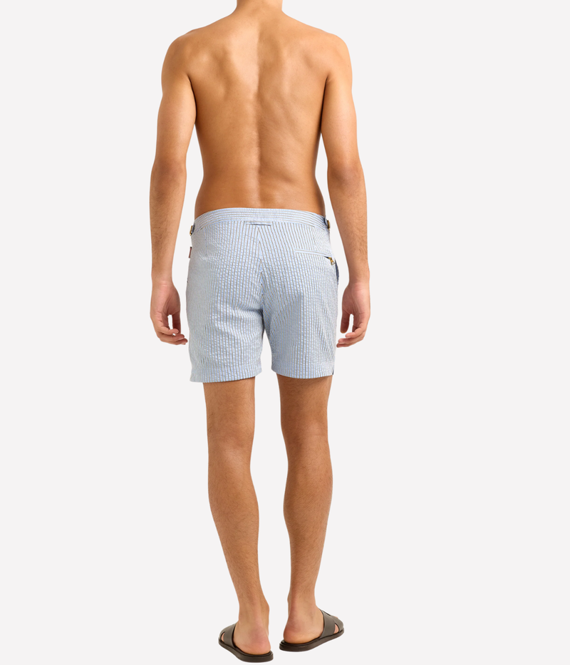 Bulldog Classic Boardshort in Blue Damson Stripe