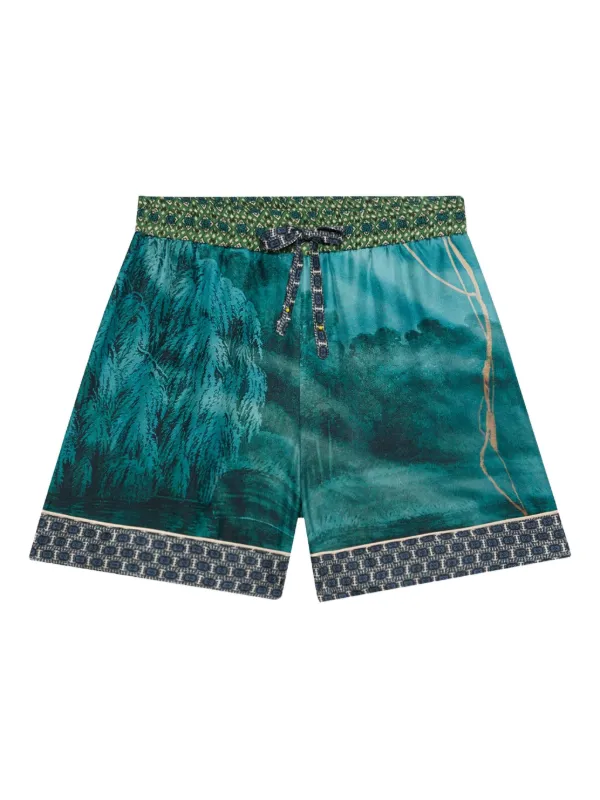 Aleo Shorts in 514860