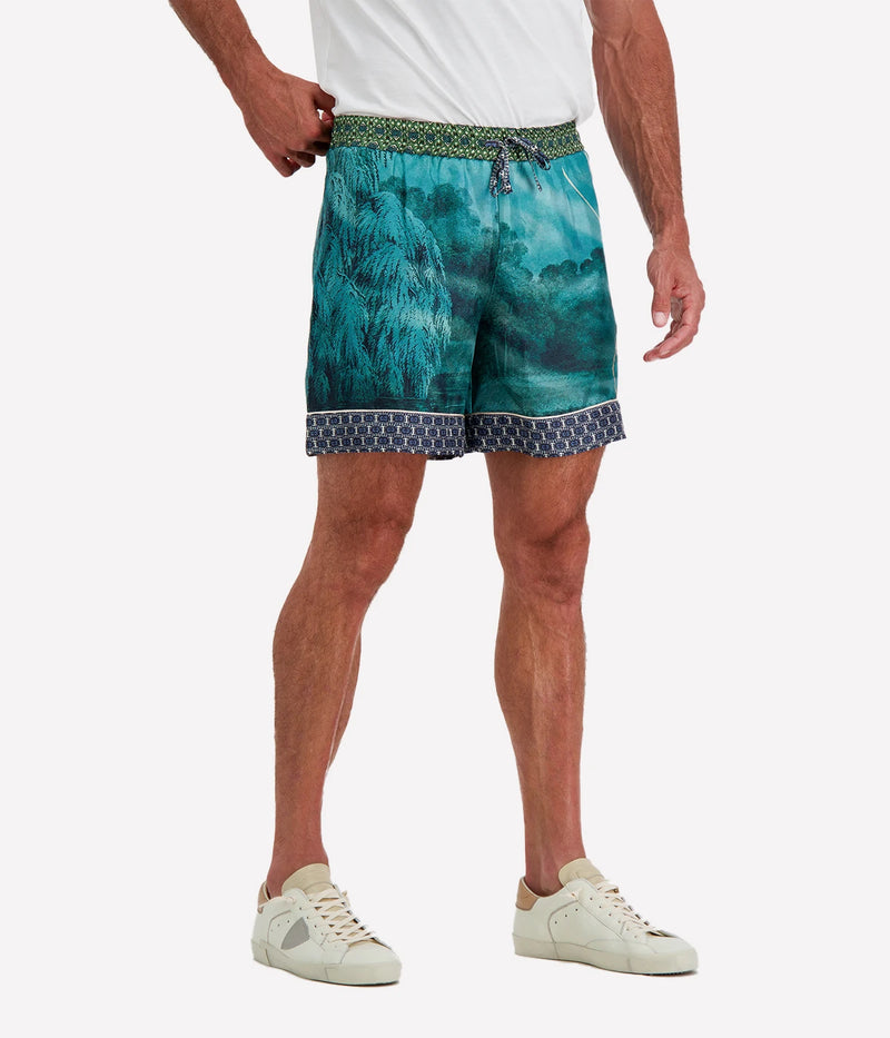Aleo Shorts in 514859