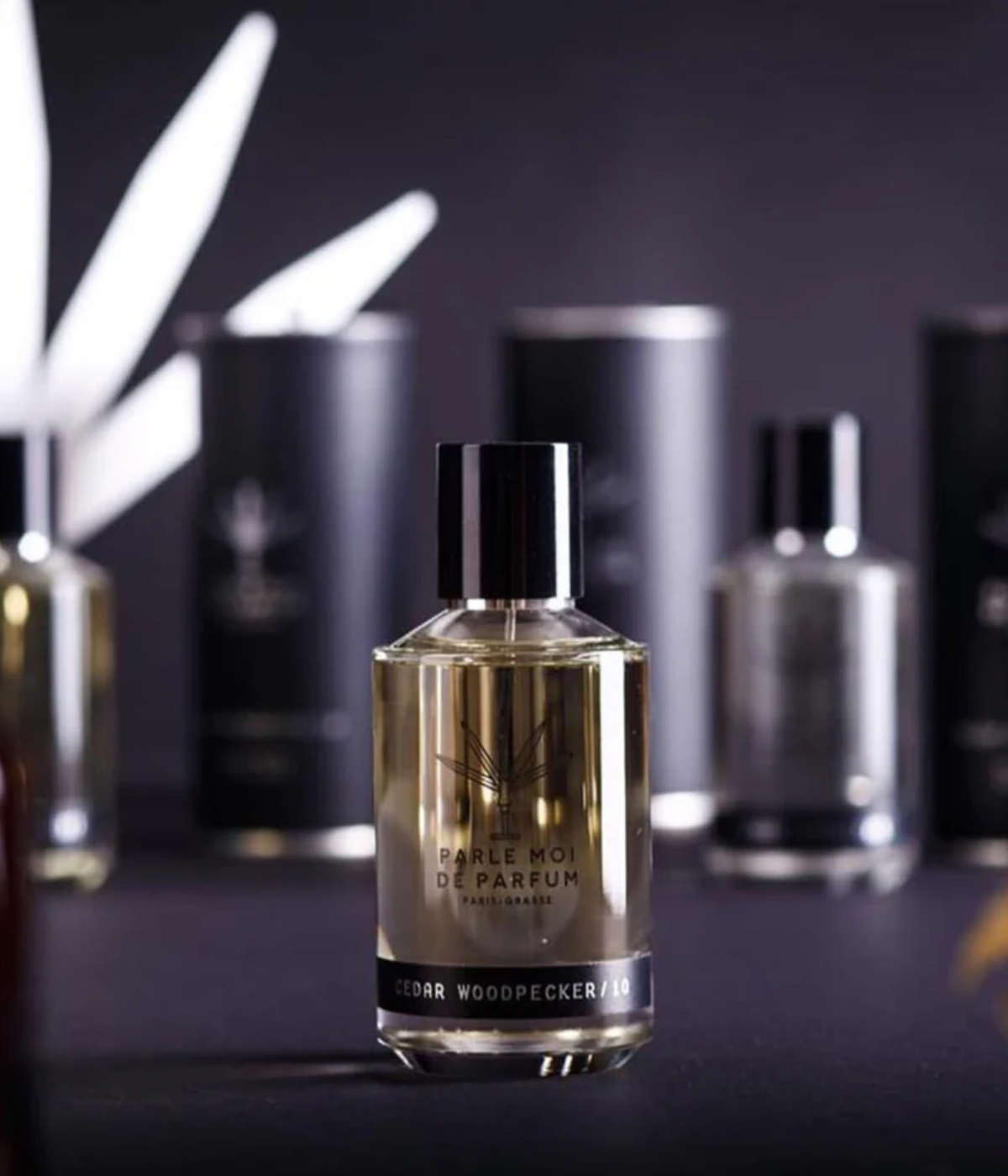 Cedar Woodpecker Perfume 50ml