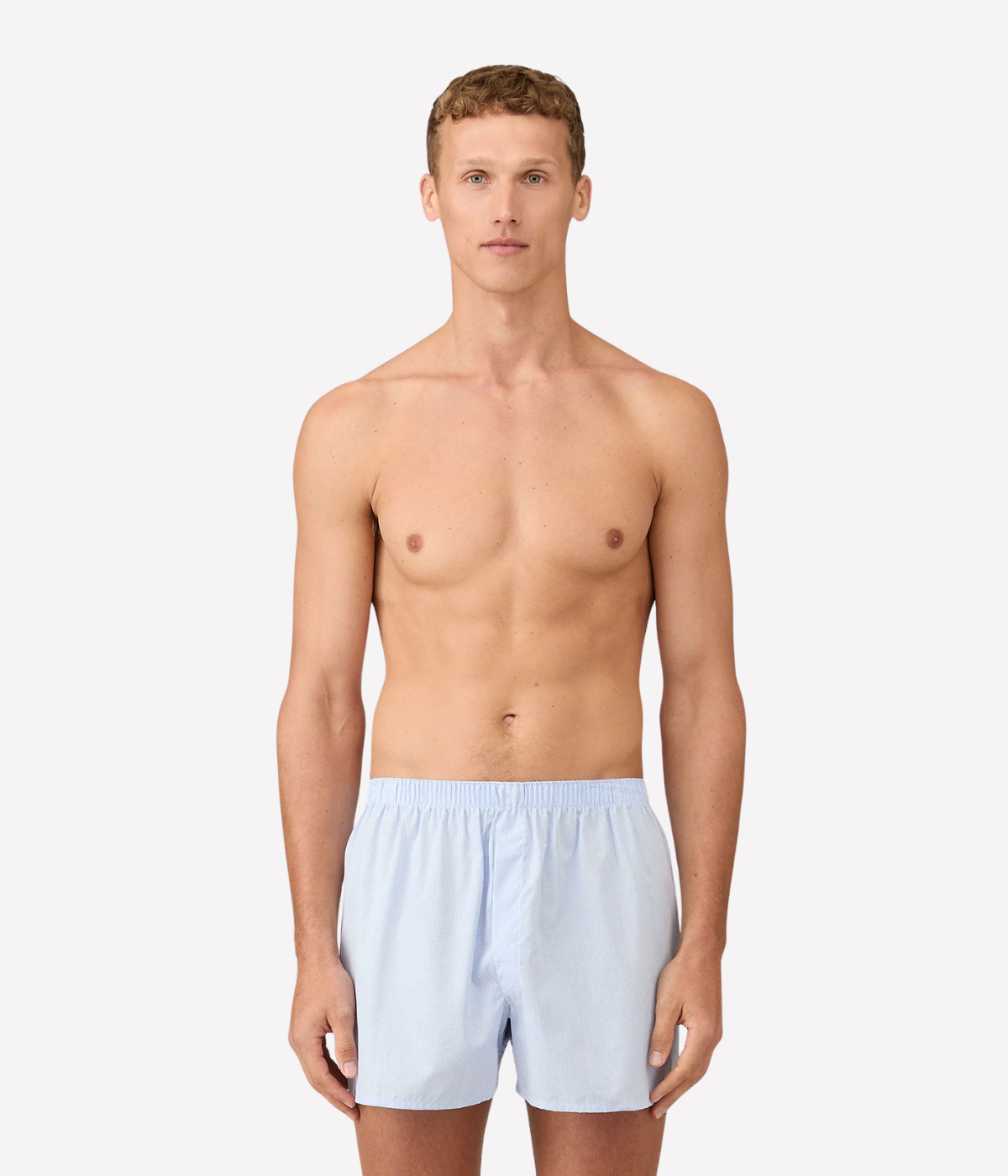 Classic Boxer Short in Light Blue Micro Gingham