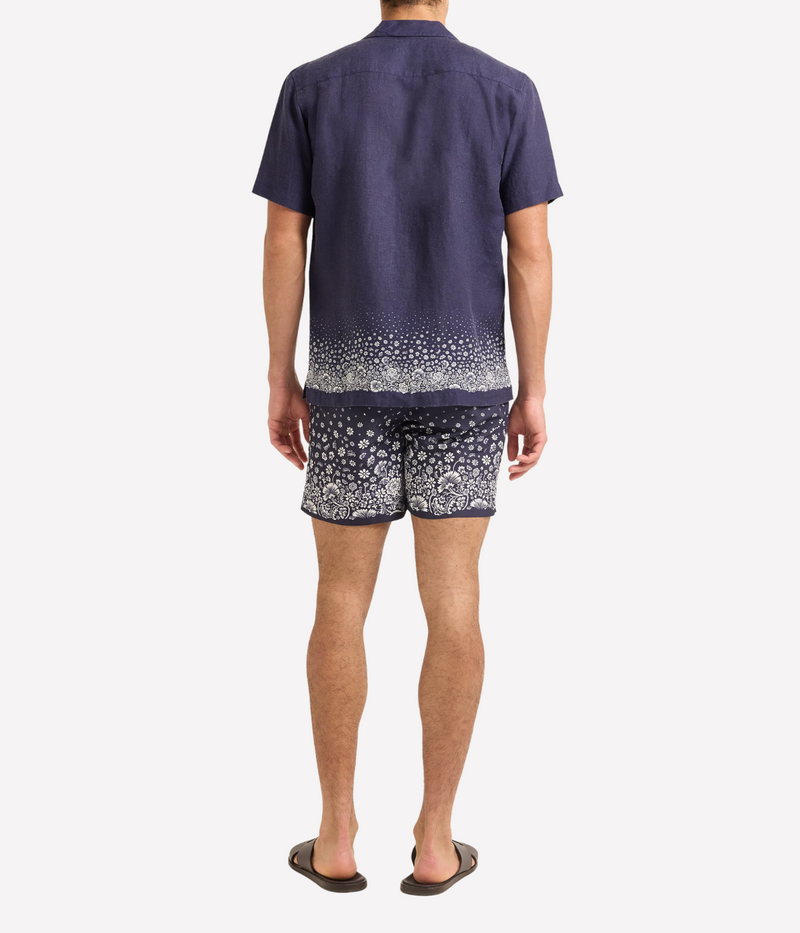 Maitan Plant in Night Iris