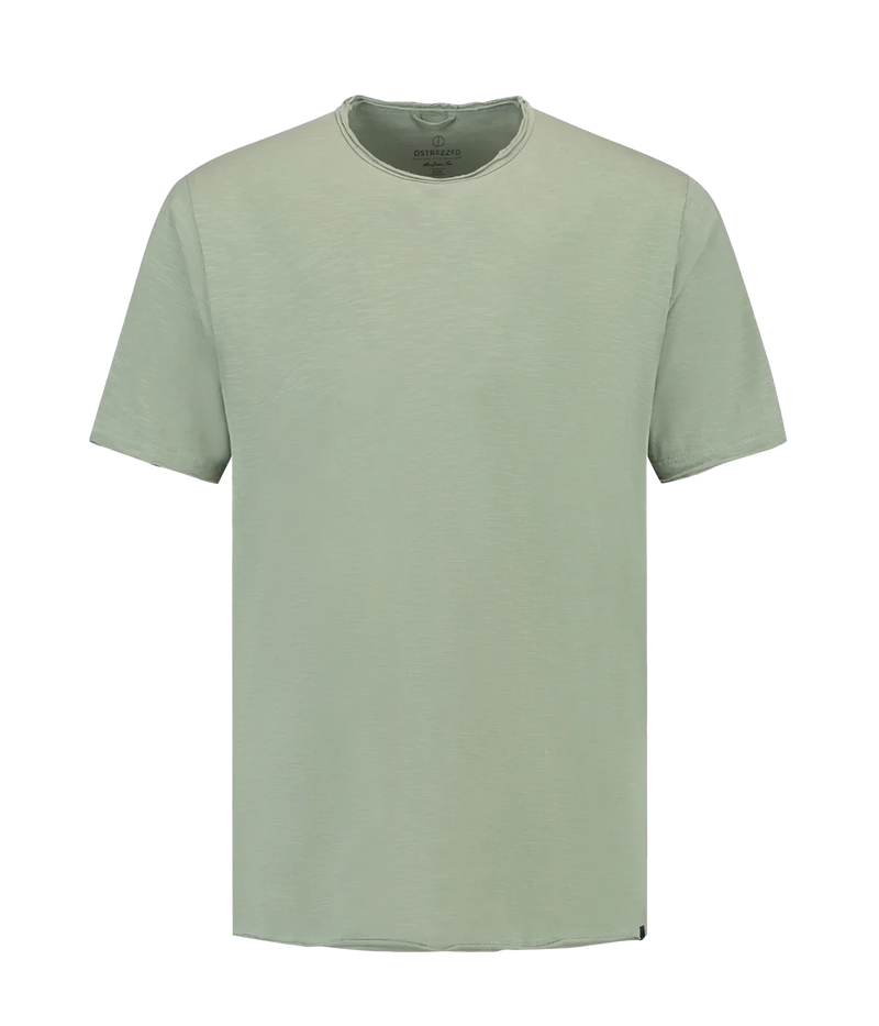 Men's organic cotton t-shirt in seasonal colours with raw edge detailing and regular fit