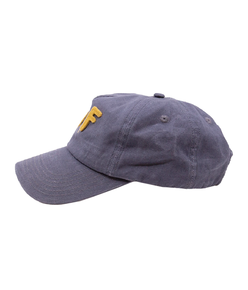 NF Team Cap in Blue Ash