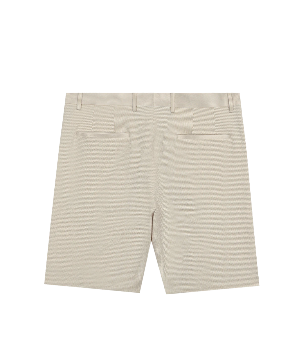 Bermuda Chino In 00241