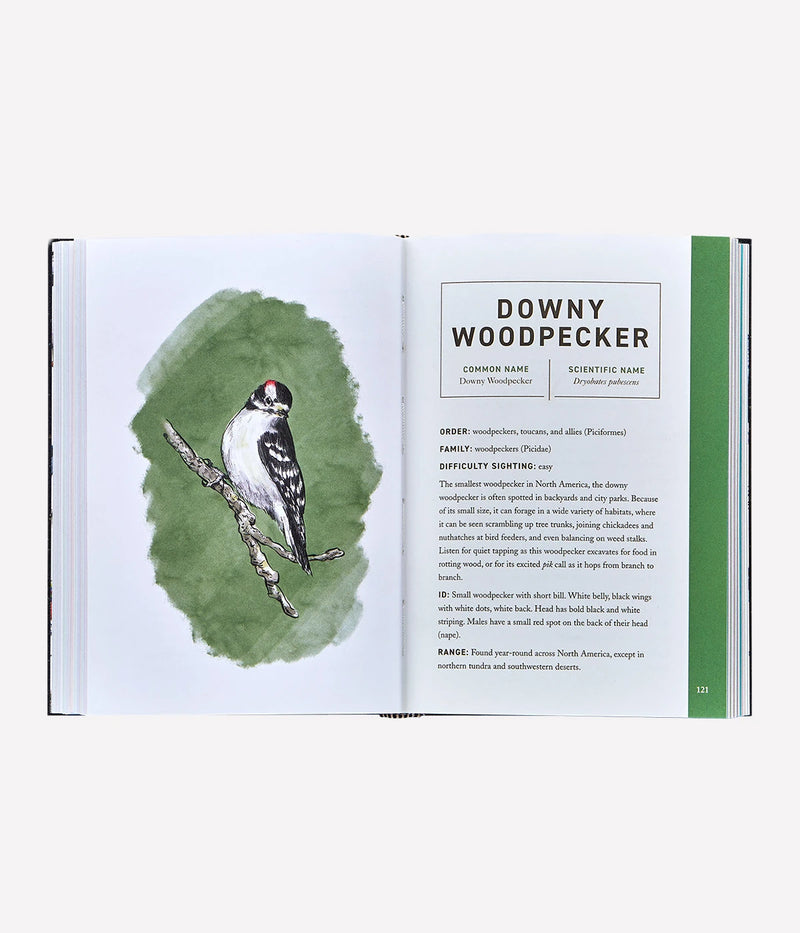 The Book of Birds in White