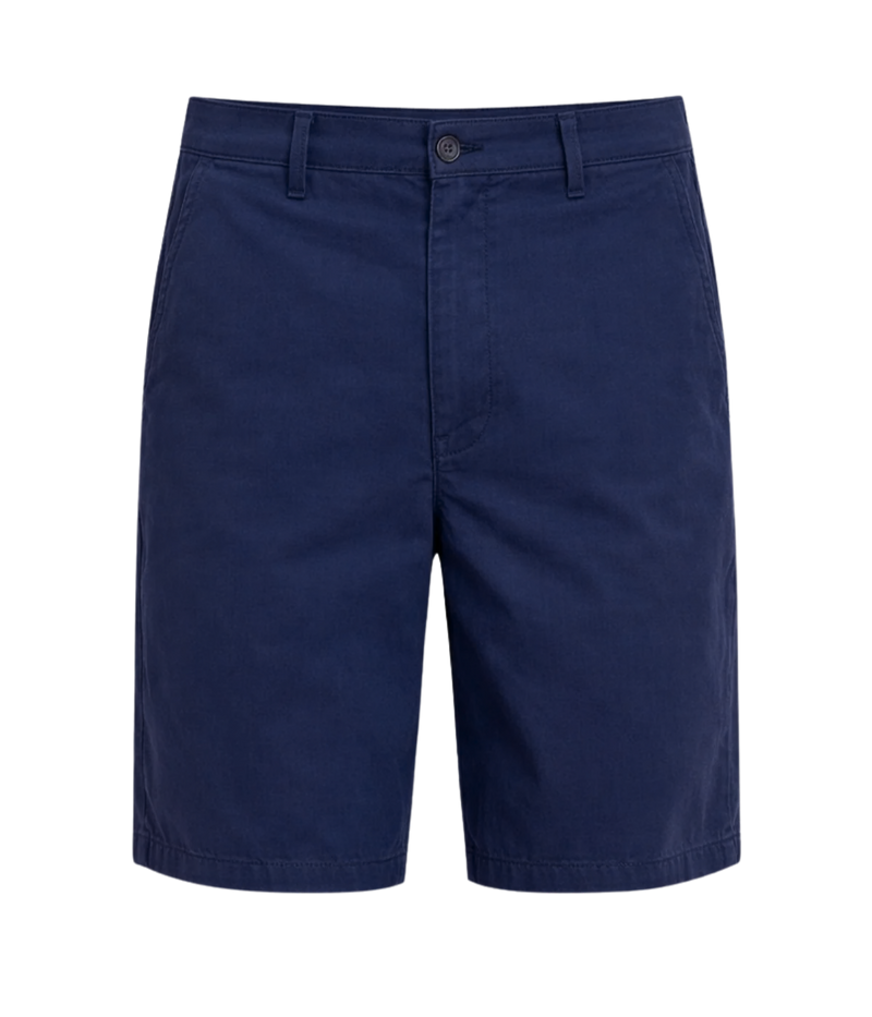 Wanderer Short in Stormy Night