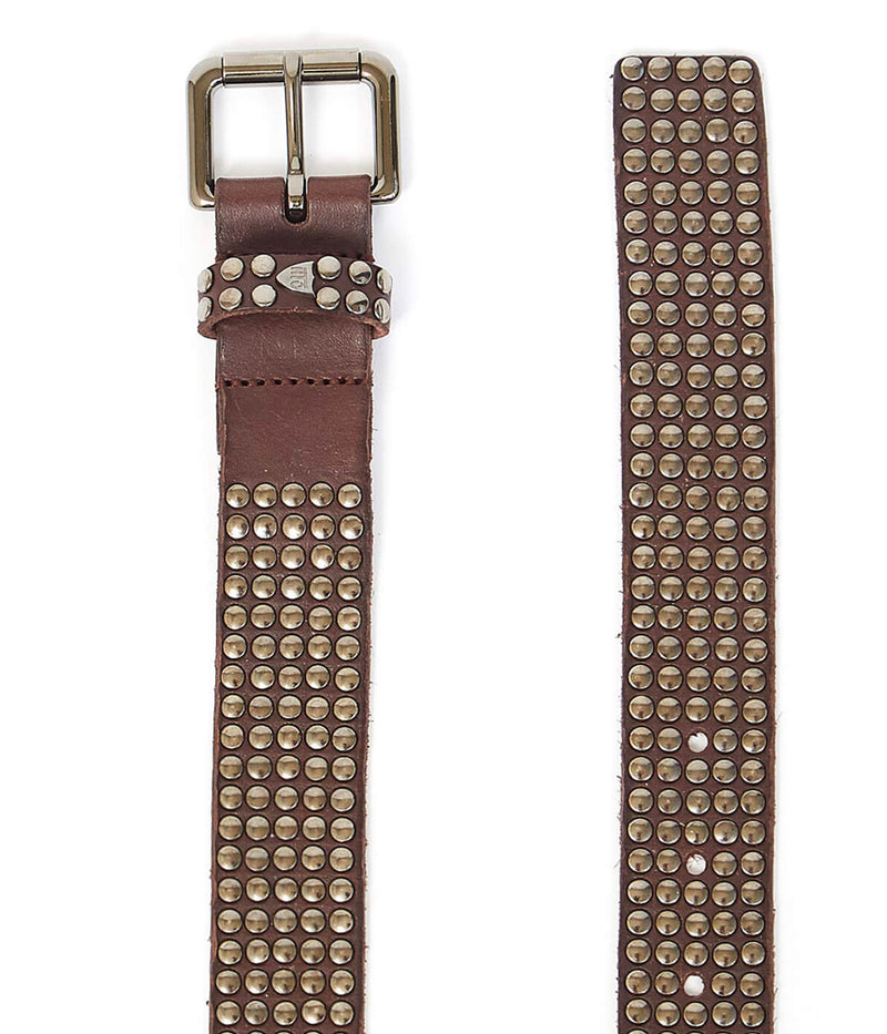 5000 Studs Belt in Brown