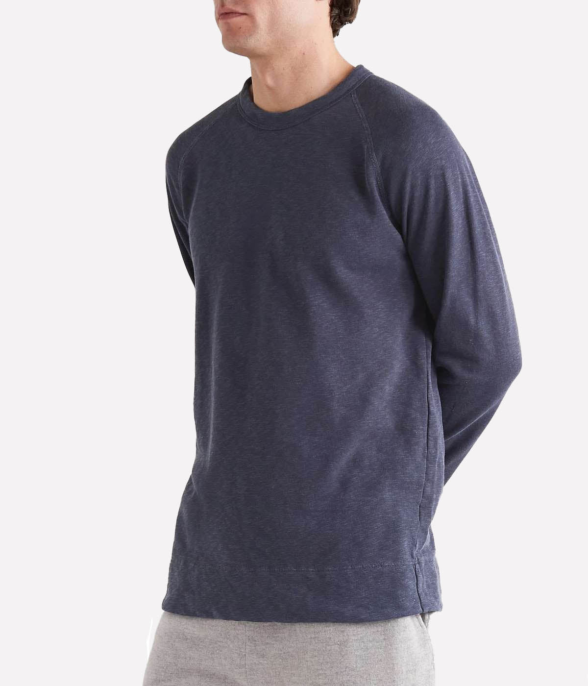 French Terry Raglan Sweatshirt in Deep Pigment